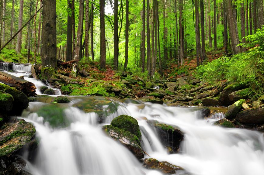 Nationalpark Šumava