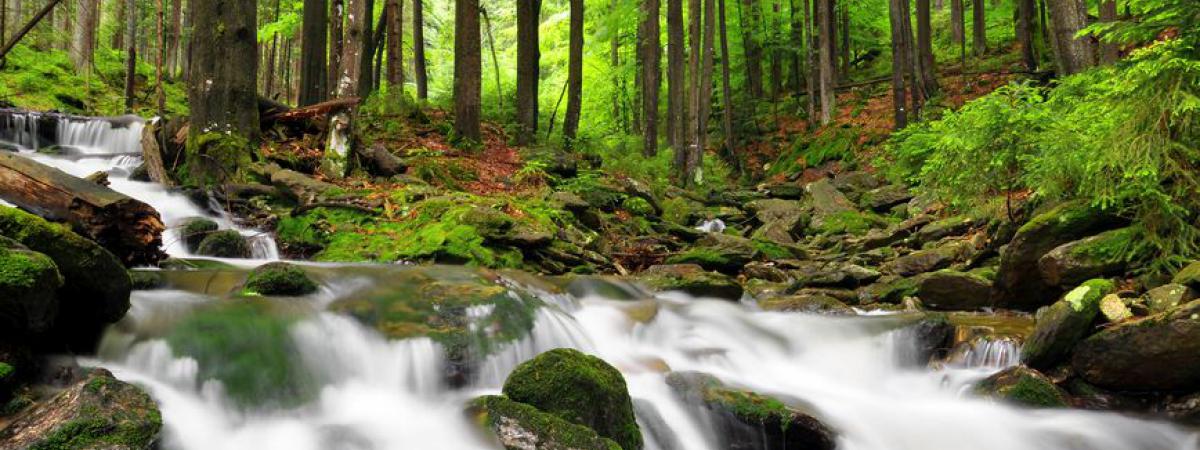 Nationalpark Šumava